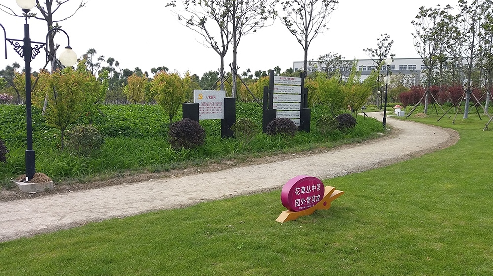 平湖同心公园生态超疏水土步道